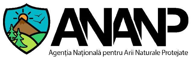 logo_ananp2