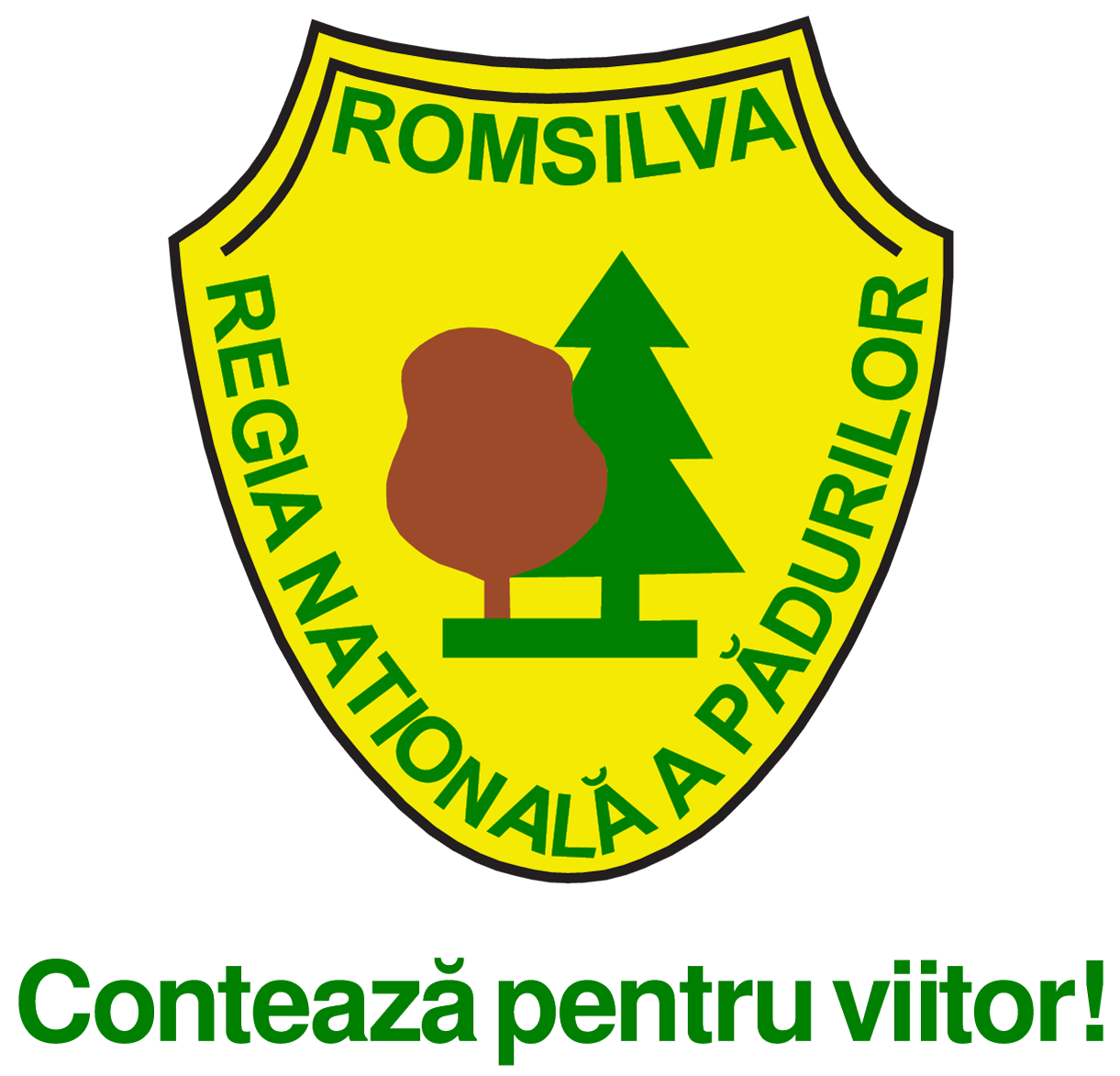 logo_romsilva